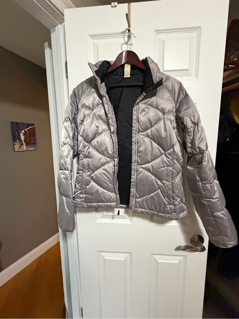 The North Face Women's Silver Gray Puffer Jacket